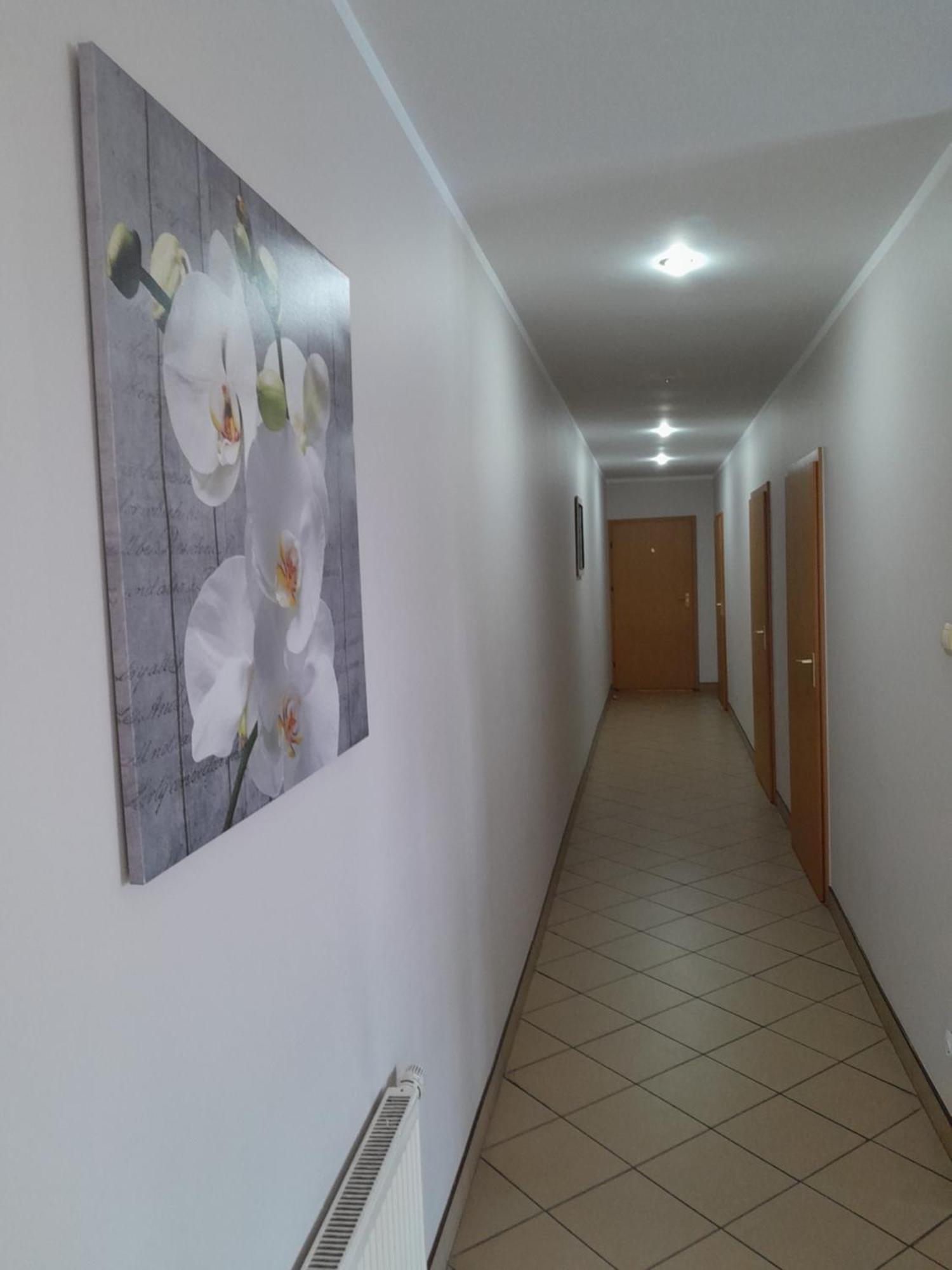 Hostel Polon بوتوسك المظهر الخارجي الصورة